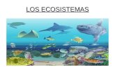 Trabajo de los ecosistemas (biología 4ºeso a)