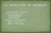 La NutricióN En Animales