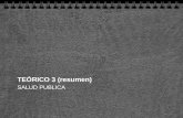 TeóRico 3 Sp (Resumen)