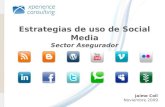 Xperience Consulting, Estrategias Social Media, Sector Seguros