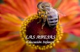 Las abejas para Educación Infantil