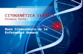 Citogenética clínica