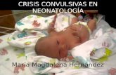 Crisis convulsivas en neonatologia
