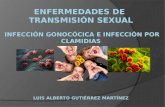 INFECCIONES DE TRANSMISION SEXUAL: Gonorrea e Infección por Chlamydia.