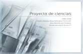 Proyecto lll -Ciencias Química 3ºA