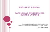 Prolapso genital  patologia benigna del cuerpo uterino