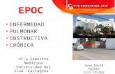 Epoc - Enfermedad Pulmonar Obstructiva Cronica - 2014