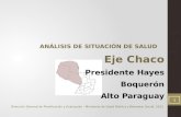 Analisis de situacion de salud Paraguay Eje Chaco indicadores