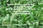 Limitaciones para la productividad de trigo y cebada (cyted)