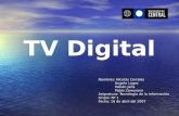 PPT TV Digital