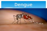 Dengue en republica dominicana