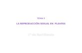 Tema 5 1º bach Reproducción de las plantas