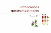 Tema 11. infecciones gastrontestinales
