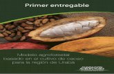 Modelo agroforestal basado en el cultivo de cacao para la región de urabá