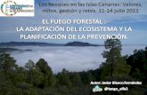 El Fuego Forestal en Canarias, Selvicultura Preventiva