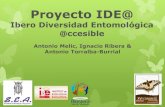 Proyecto IDE@ - Ibero Diversidad Entomológica @ccesible