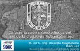 Caracterización geoestadística del Suelo de la Cd. de Aguascalientes, Reunión regional en Aguascalientes