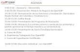 OpenERP Seminar - business model (Spanish)