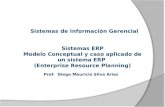 Presentación Sistemas ERP