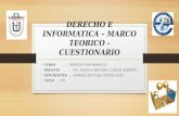 DERECHO E INFORMATICA – MARCO TEORICO - CUESTIONARIO