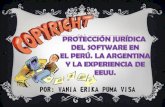 Protección juridica del software en el peru. la argentia y eeuu