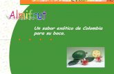 Presentacion Almifrut Ltda