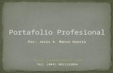 Portafolio Profesional Jesus A. Manzo Huerta