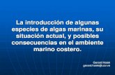 Especies Invasoras y Biodiversidad: Algas Marinas