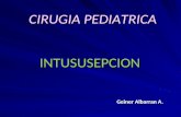 Cirugia pediatrica - Intusucepcion