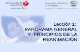 Reanimación Neonatal: Lección 1 PANORAMA GENERAL Y  PRINCIPIOS DE LA REANIMACIÓN