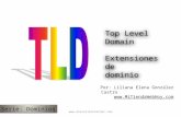 Clasificaciones de TLD (extensiones de dominio).