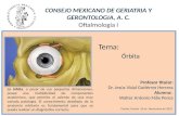 Anatomia semiologia y patologia de orbita ocular