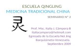 SEMINARIO II MEDICINA TRADICIONAL CHINA.  MTC