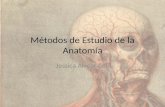 Metodos de Estudio de la Anatomía