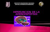 Hiperfuncion hipofuncion hipofisis