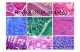 Histologia Animal 1º Bto
