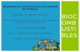 Presentación: Biocombustibles