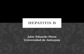Hepatits B
