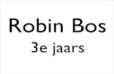 Tweetle Robin Bos 110108