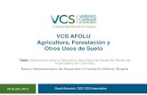 Introducción al programa afolu de VCS relevante al sector forestal-  David Antonioli VCS