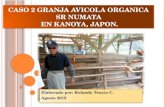 Granja Avicola Organica Sr Numata, Kanoya, Japón. Curso AO JICA 2012.