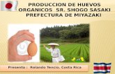 Granja Organica  Sr Shogo y produccion alimento animal. Curso AO JICA 2012