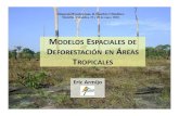 Modelos espaciales de deforestación en áreas tropicales