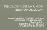 Fisiologia de la union neuromuscular
