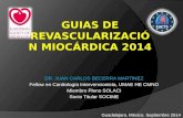 Guias de revascularización miocárdica 2014