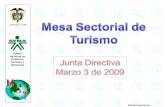 Presentación Junta Directiva Marzo 3 De 2009