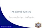 Presentación1 de anatomia humana 1era clase