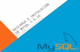 Descarga e instalación de MySQL 5.6.16