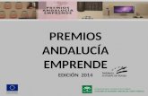 Presentación Premios Andalucía Emprende 2014
