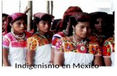 Indigenismo en México